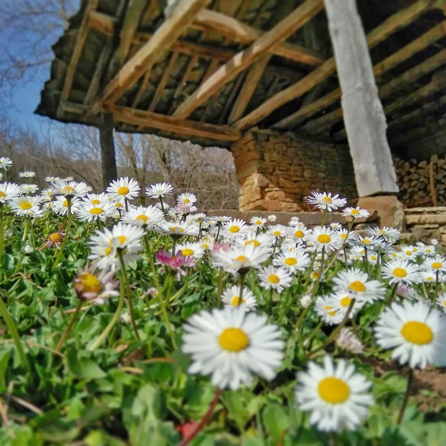 Villa Authentic House With Stunning Mountain View - Karashka Aprilzi Exterior foto