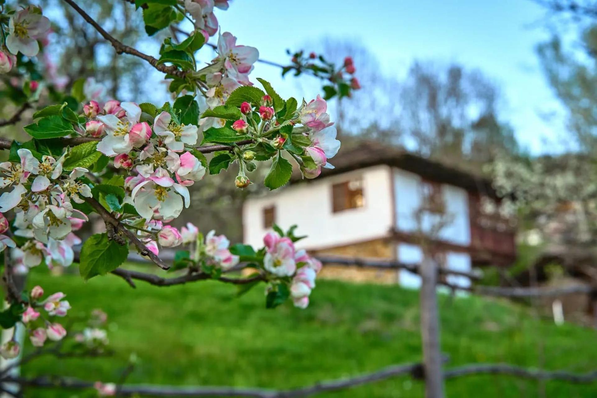 Villa Authentic House With Stunning Mountain View - Karashka Aprilzi Exterior foto